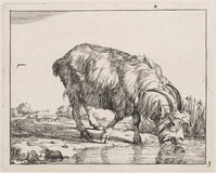 KG 04322
<br/>
Drinkende geit
<br/>
<em>Bije, Marcus de (1639-ca. 1690)</em>